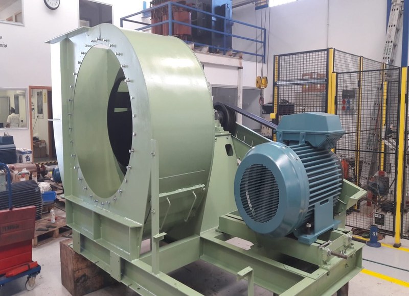 MOTOR Despues